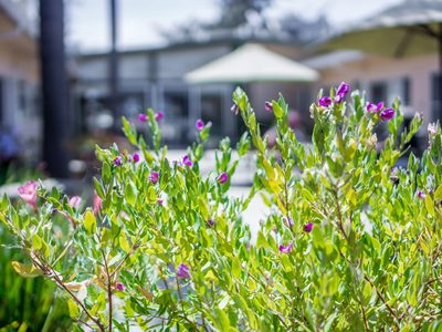 Watsonville Nursing Center