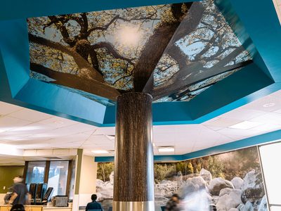 Kaweah Health Skilled Nursing Center