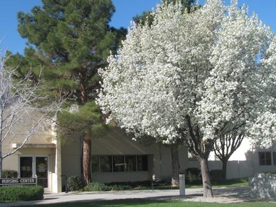 Kern Valley Healthcare District Dp SNF 