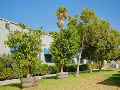 Lawndale Care Center