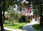 Mission Care Center