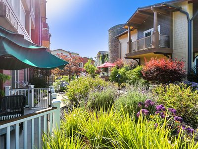 Terraces at Los Altos, the