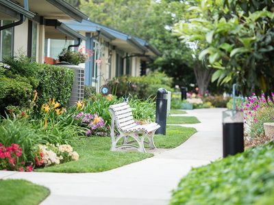 Redwood Terrace