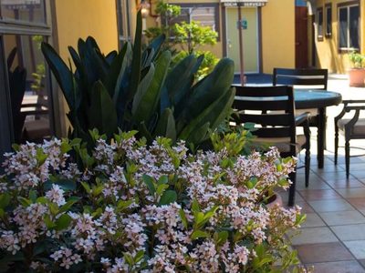 Studio City Rehabilitation Cen