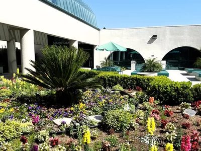 Tustin Hospital & Medical Center D/P SNF