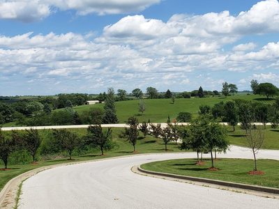 The New Homestead Care Center