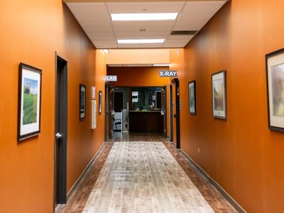 Countryside Care & Rehabilitation