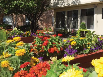 Forest City Rehab & Nrsg Ctr
