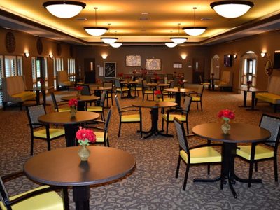 Woodlands Healthcare Center, LLC (The)