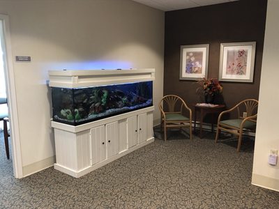 Radius Healthcare-Southbridge