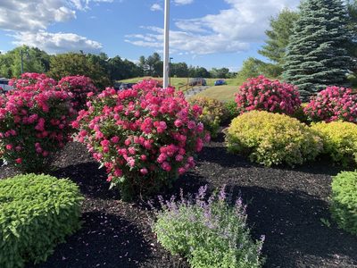 Sterling Healthcare Nursing & Rehab Center