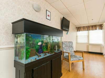 Forest Haven Nursing Home