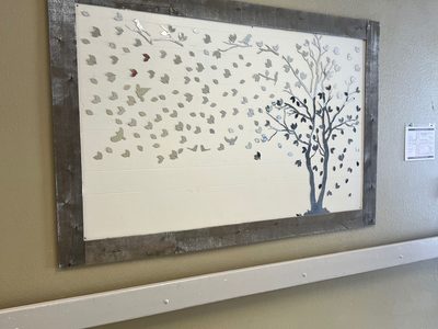 Cassville Health Care and Rehab