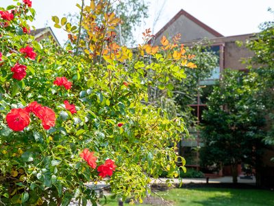 The Grove At Valhalla Rehab And Nursing Center