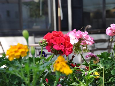 Northwoods Rehab Extended Care Facility