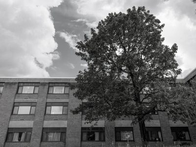 Willow Point Nursing Home