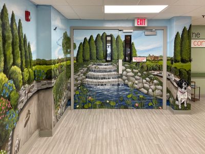 Countryside Manor Nursing and Rehabilitation LLC