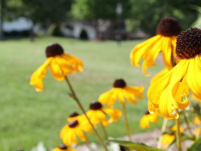Walnut Hills Nursing Home