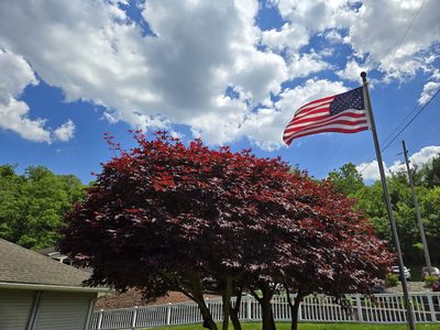 Avalon Nursing Center
