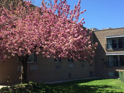 Marwood Rest Home, Inc