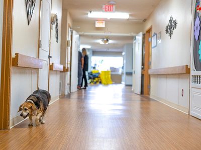Hurst Plaza Nursing and Rehab