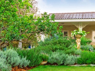 Carousel Home Care