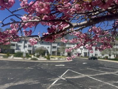 Michigan Shores Cooperative