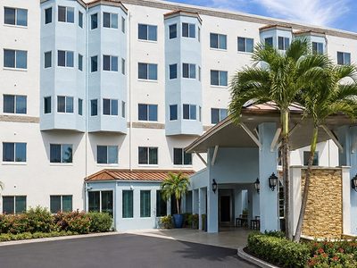 American House Palms