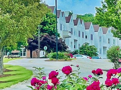 Glen Arden
