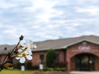 The Grove Personal Care Home