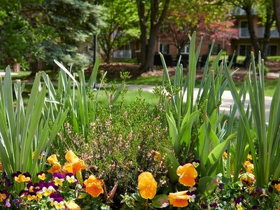 The Highlands at Wyomissing Personal Care Facility