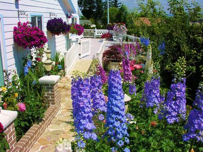 Assurety Senior Care Center