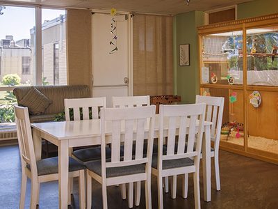 Appleton Hospital Home Care