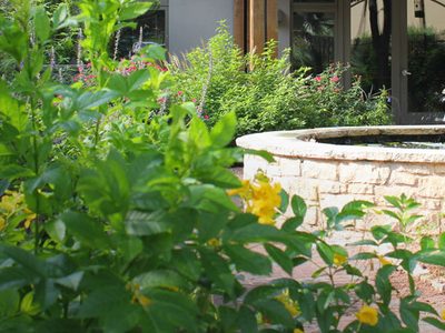 Hospice Austin