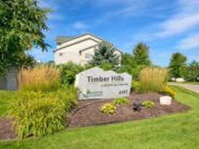 Timber Hills