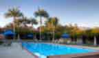 The Samarkand