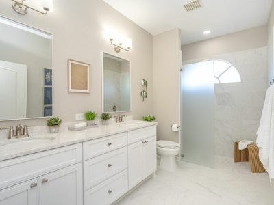 Convivial Jacaranda Trace