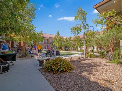 Acacia Springs