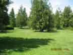 Green Meadow AFH LLC
