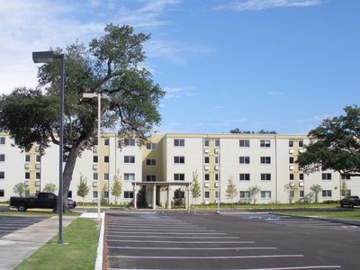 Sea Shore Oaks