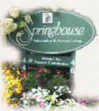 Springhouse