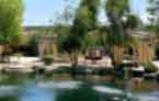 The Madison