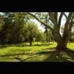 Baytree Lakeside