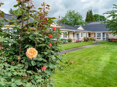 Forest Grove Beehive 