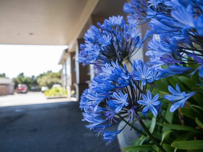 Shore Pines Senior Living