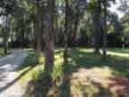 Close to Paradise Assisted Living
