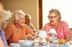 Safe Haven Placement Agency-