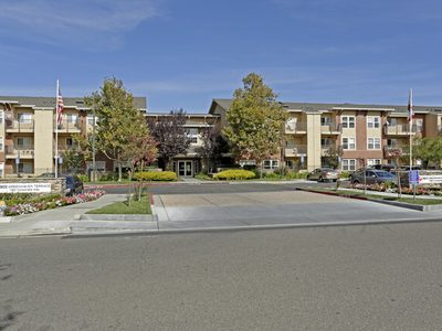 Acc Maple Tree Village