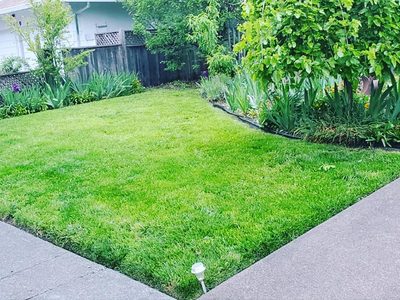 Adom Manor Care Home