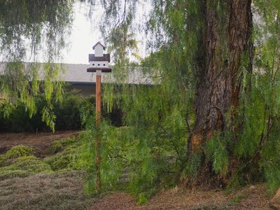 Blossom Valley Residential Care